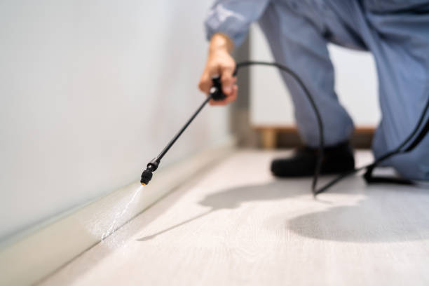 Bed Bug Pre-Treatment Preparation Assessment in Burleson