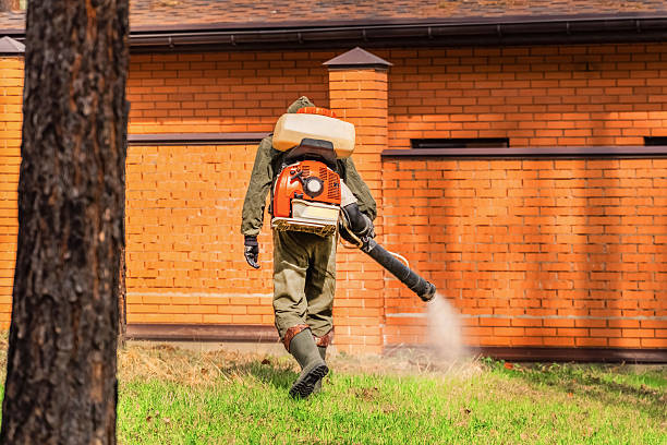 Bed Bug Clearance Verification and Documentation in Burleson